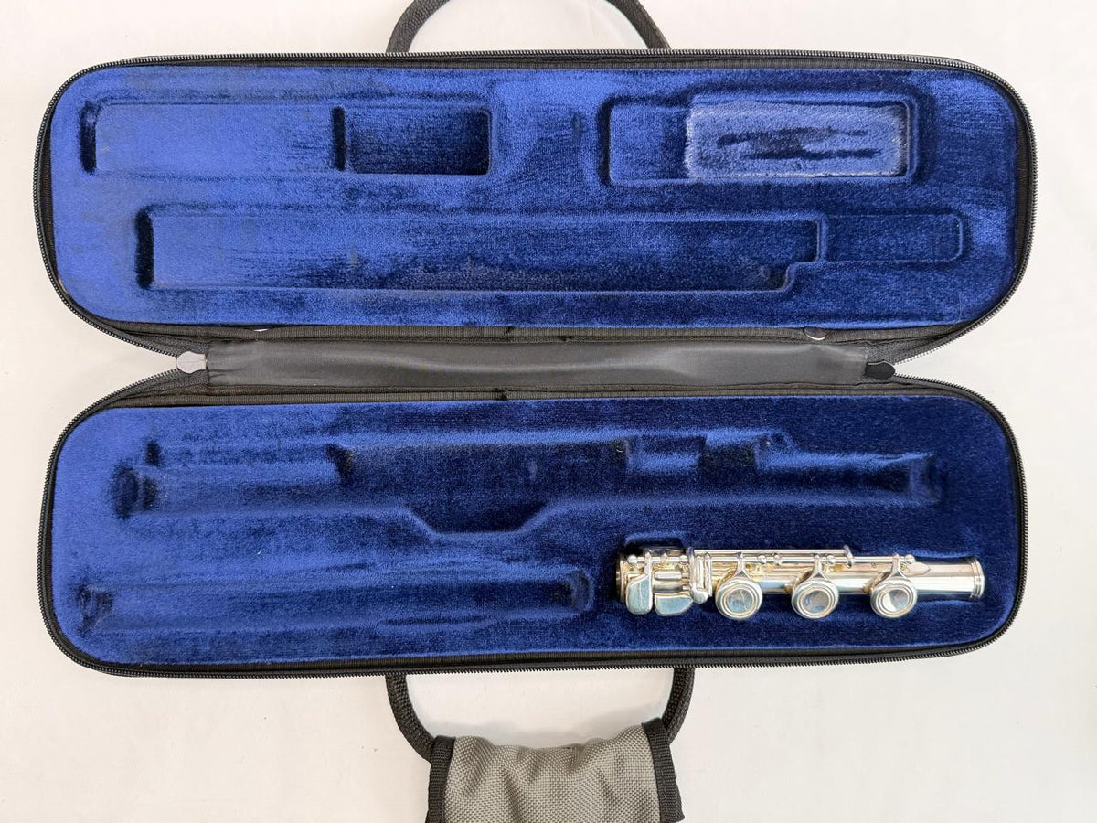 Case Flauta Transversal Protec Cinza - Made In Usa #11