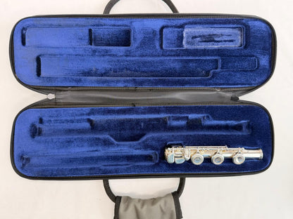 Case Flauta Transversal Protec Cinza - Made In Usa #11
