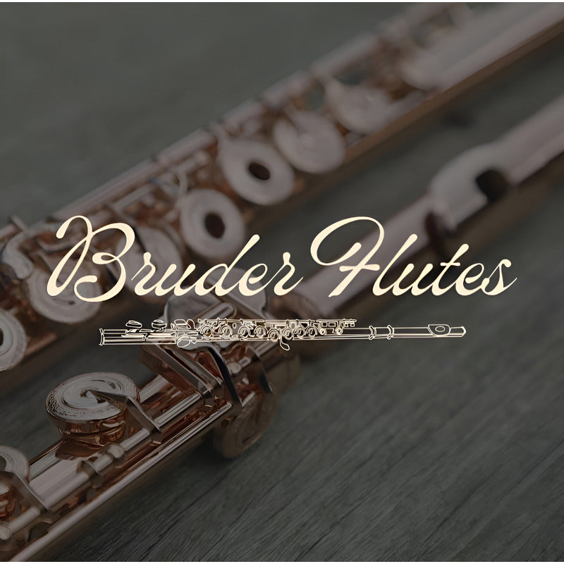 Flauta Transversal Amati Kraslice A F L 201   #96 Prata