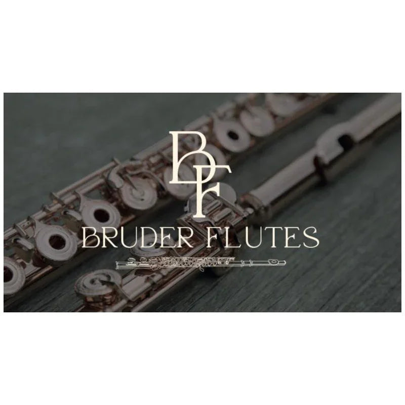 Flauta Transv Eastman By Haynes - Efl 210 Riser Em Prata #1 Prata