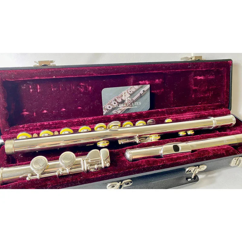 Flauta Transv Eastman By Haynes - Efl 210 Riser Em Prata #1 Prata