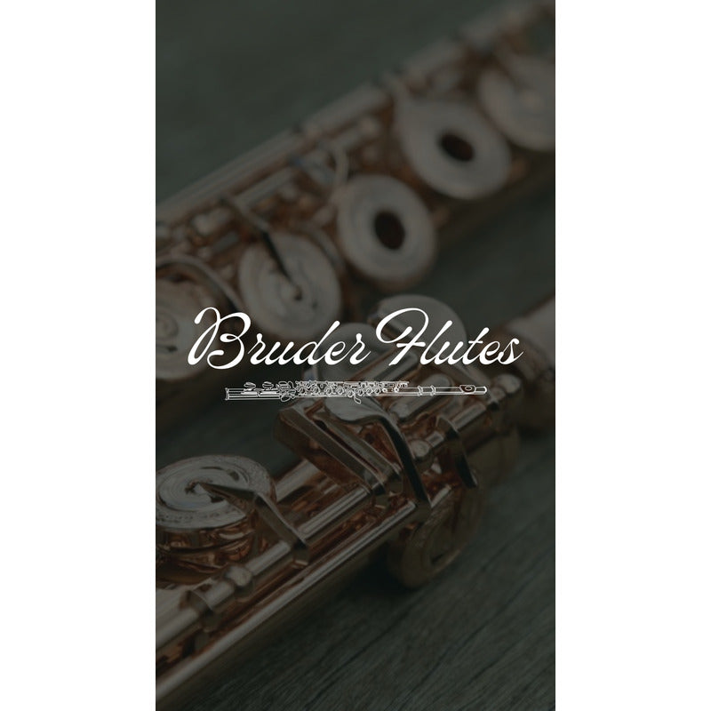 Flauta Transv Eastman By Haynes Efl 320 / Bocal Prata Maciça #12